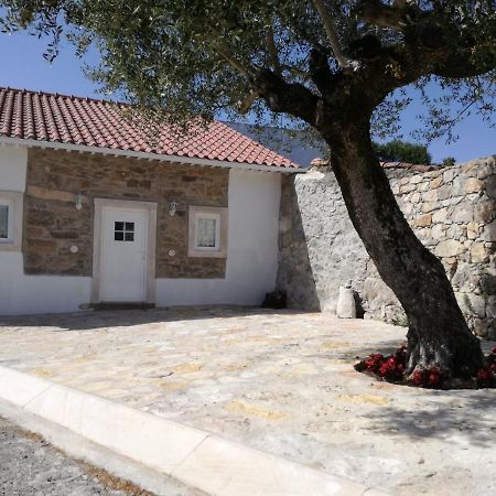 Casa Da Figueirinha Vila Casais dos Monizes Exterior foto