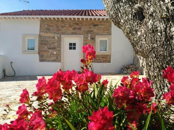 Casa Da Figueirinha Vila Casais dos Monizes Exterior foto